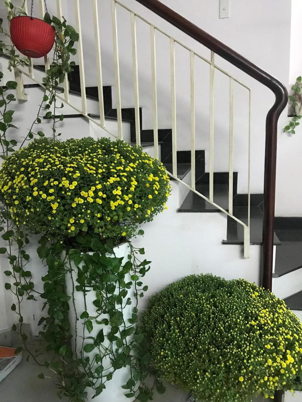 Vanapartment Ho Chi Minh-byen Eksteriør bilde